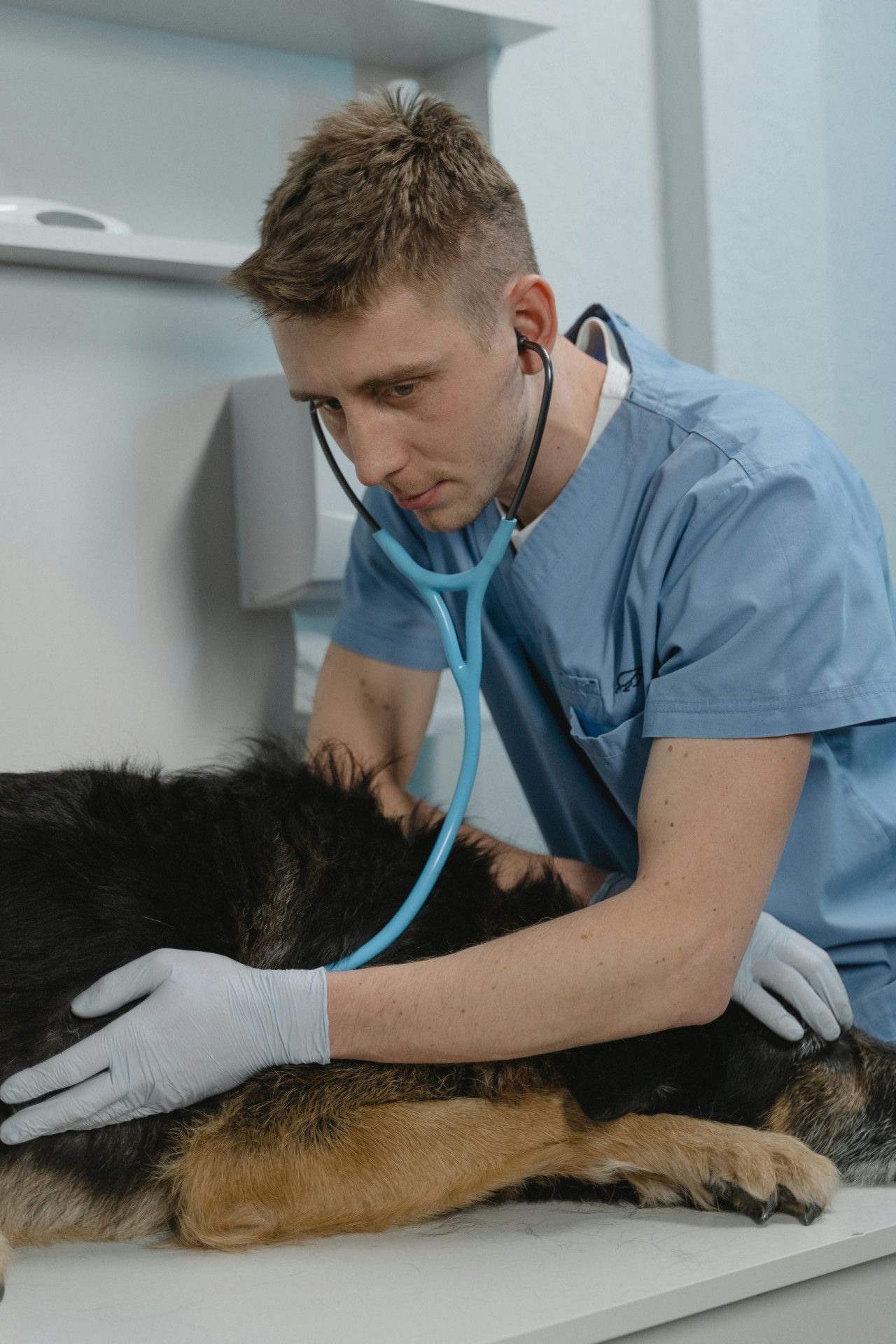 A surgical team at work in the operating theatre